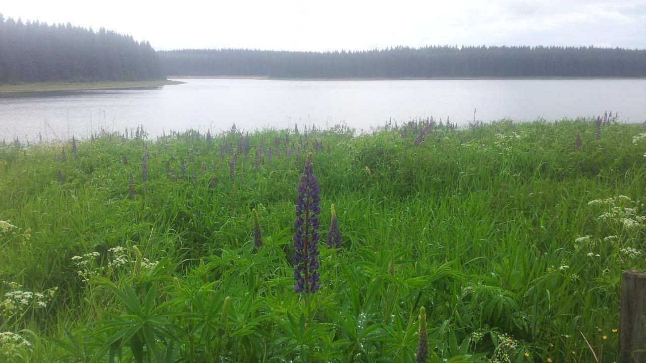 Frühjahr an der Talsperre Carlsfeld Frühjahr an der Talsperre Carlsfeld